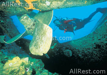 Vatulele Island Resort 24